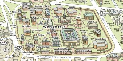 Kartica sa sveučilišta Harvard